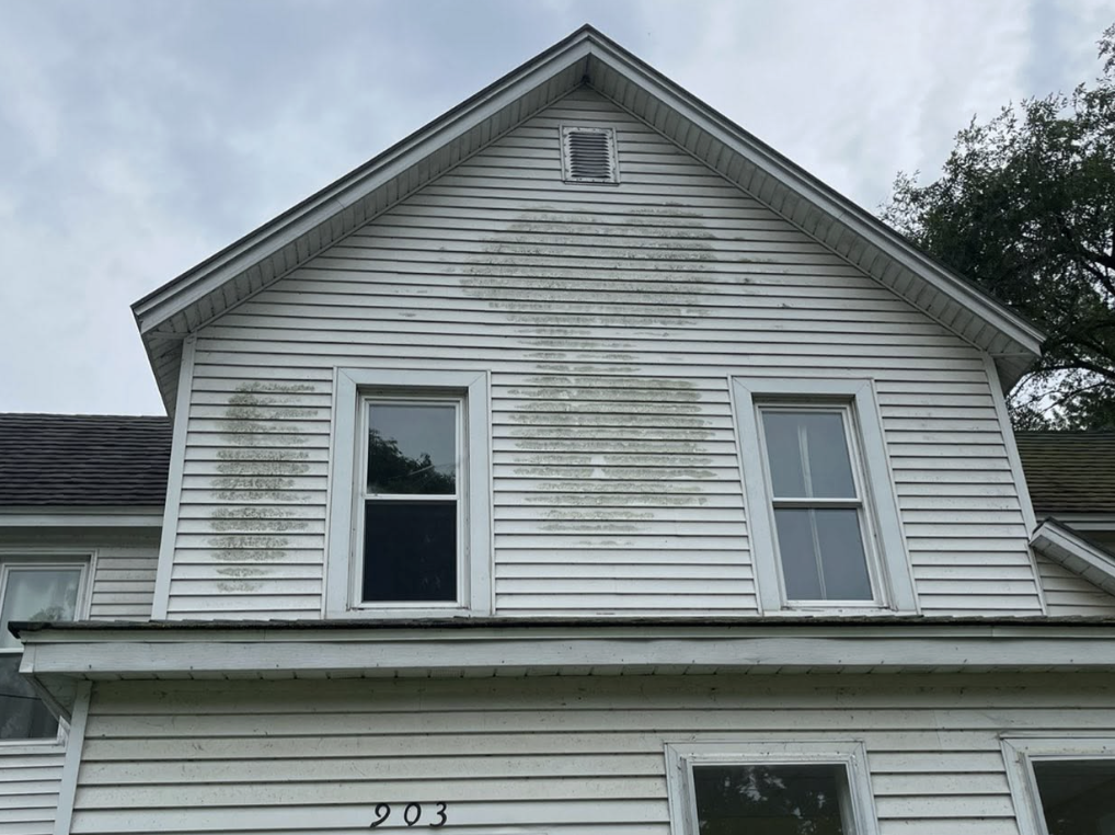 White house siding before soft washing, covered in dark organic growth
